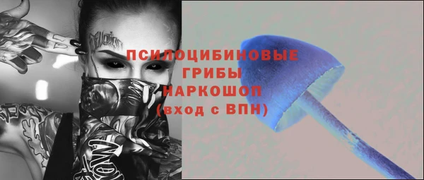 СК Лиски