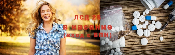 ГАЛЛЮЦИНОГЕННЫЕ ГРИБЫ Лихославль